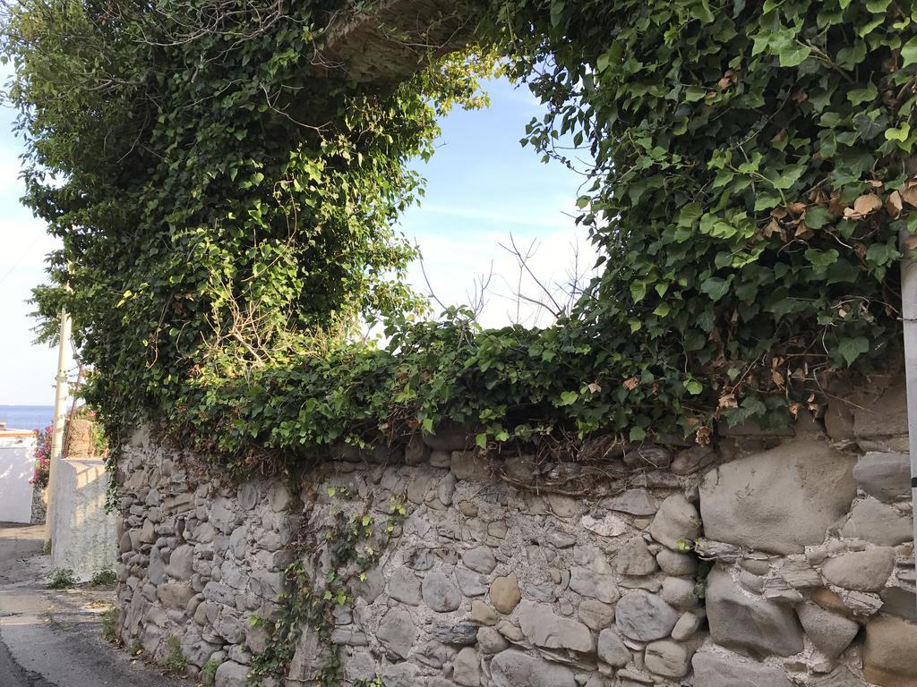 דירות לטויאני Casa Paloma מראה חיצוני תמונה